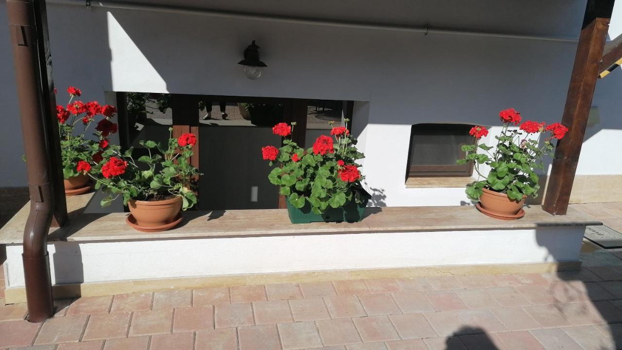 Bed and Breakfast Ana Boutique Alba Iulia Exterior foto